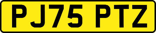 PJ75PTZ
