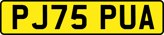 PJ75PUA