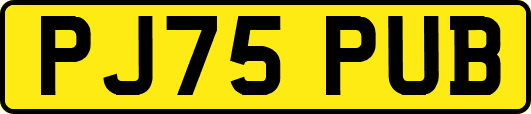 PJ75PUB