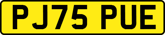PJ75PUE