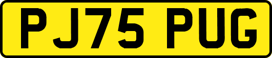 PJ75PUG