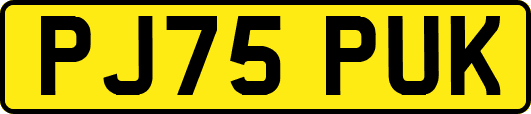 PJ75PUK