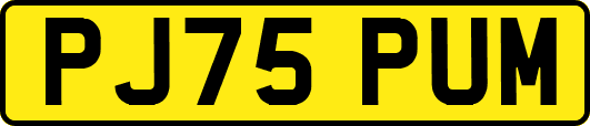 PJ75PUM