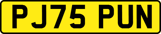 PJ75PUN