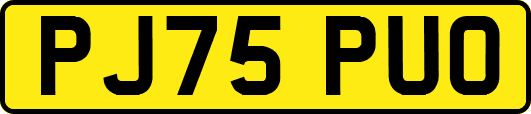 PJ75PUO
