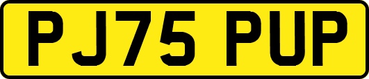 PJ75PUP
