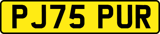 PJ75PUR