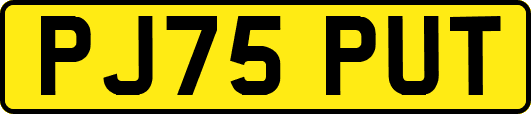 PJ75PUT