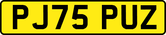 PJ75PUZ