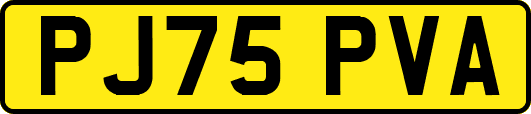 PJ75PVA