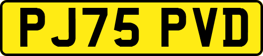PJ75PVD