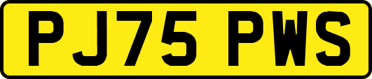 PJ75PWS