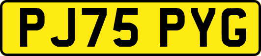 PJ75PYG