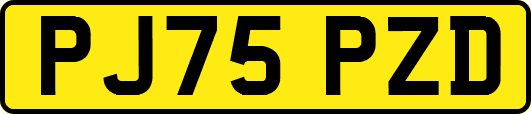 PJ75PZD