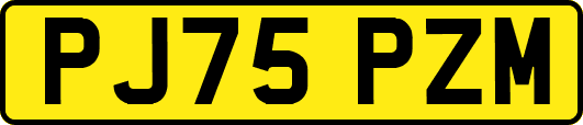 PJ75PZM