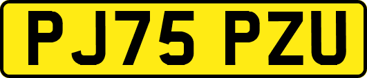 PJ75PZU