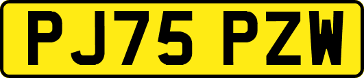 PJ75PZW