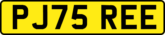 PJ75REE