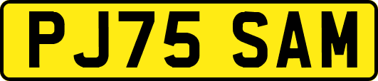 PJ75SAM