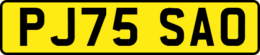 PJ75SAO