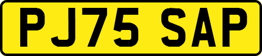 PJ75SAP