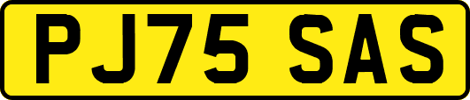 PJ75SAS