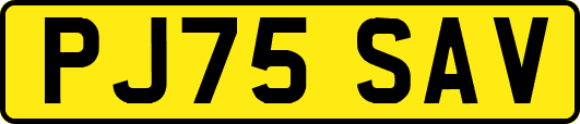 PJ75SAV