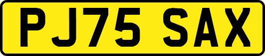 PJ75SAX