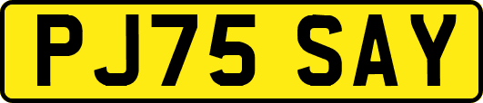 PJ75SAY