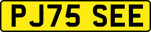 PJ75SEE