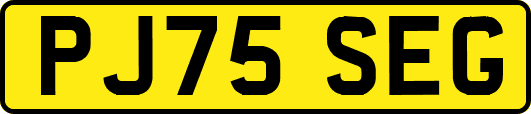 PJ75SEG