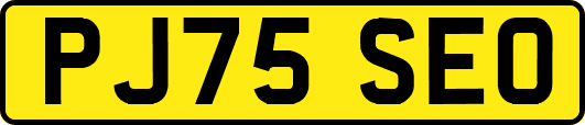 PJ75SEO