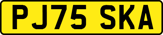 PJ75SKA