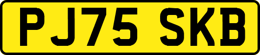 PJ75SKB