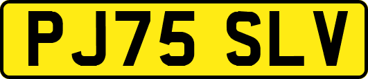 PJ75SLV