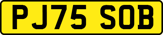PJ75SOB