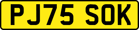 PJ75SOK