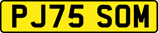 PJ75SOM