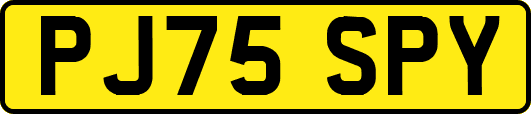 PJ75SPY