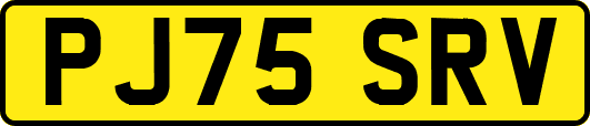 PJ75SRV