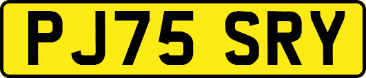 PJ75SRY
