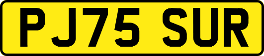 PJ75SUR