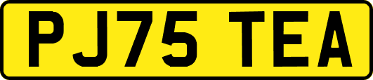 PJ75TEA