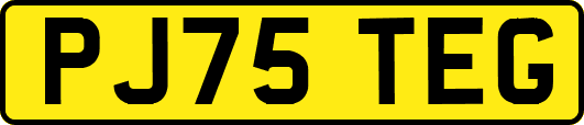 PJ75TEG