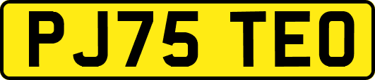 PJ75TEO