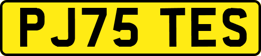 PJ75TES