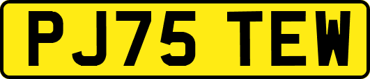 PJ75TEW