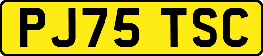 PJ75TSC
