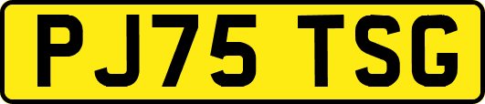 PJ75TSG