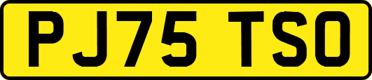 PJ75TSO